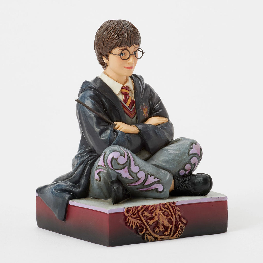 The Chosen One (Harry Potter Personality Pose)