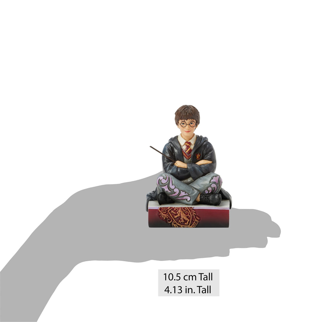 The Chosen One (Harry Potter Personality Pose)