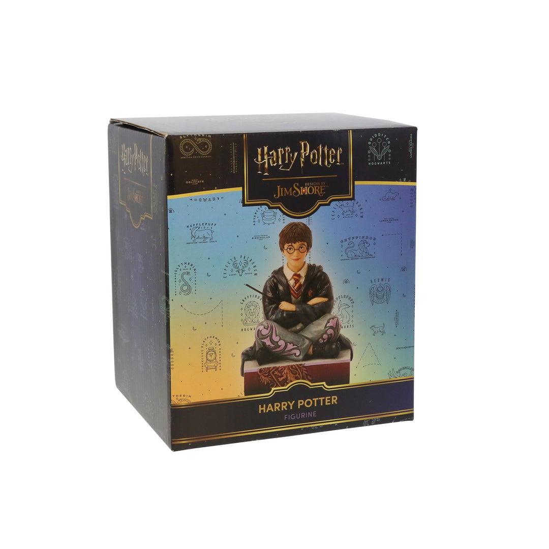 The Chosen One (Harry Potter Personality Pose)