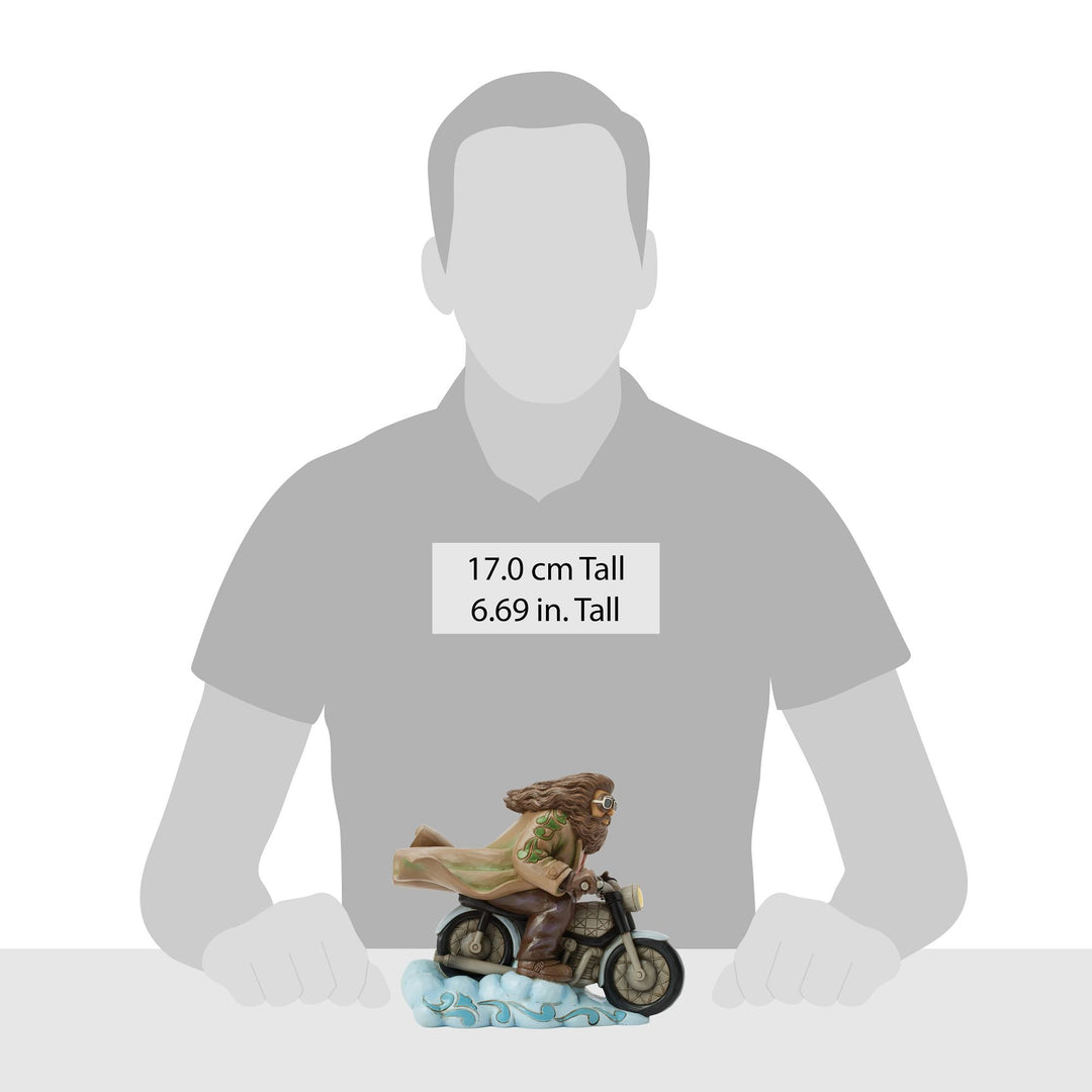 Guardian in the Sky (Hagrid on Bike)