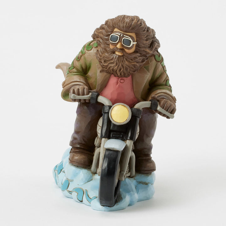 Guardian in the Sky (Hagrid on Bike)