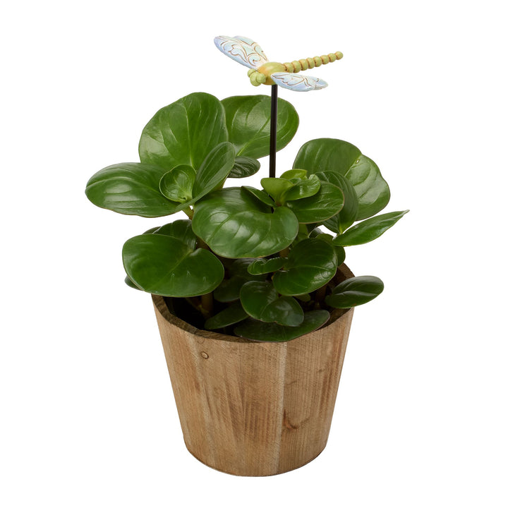 Plant Stake Dragonfly Figurine