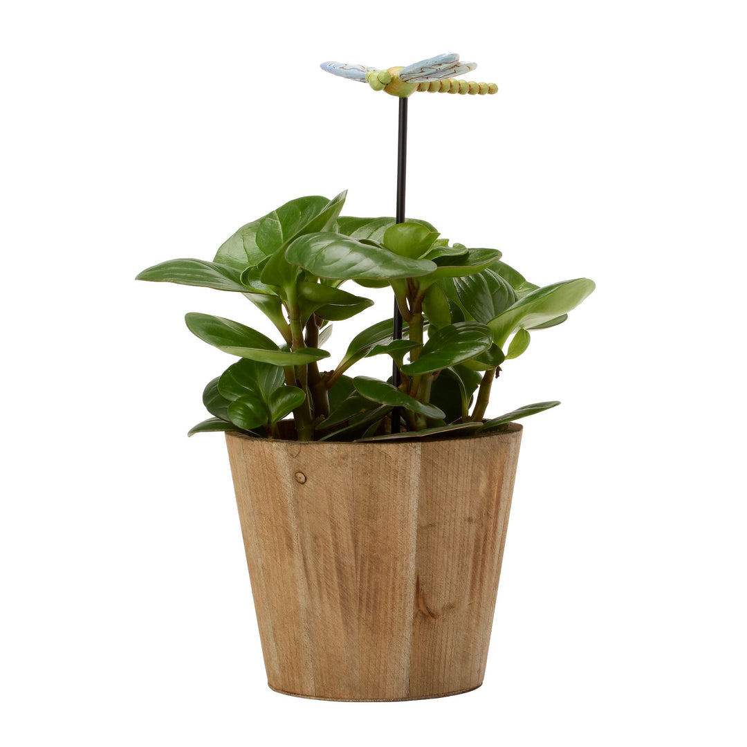 Plant Stake Dragonfly Figurine
