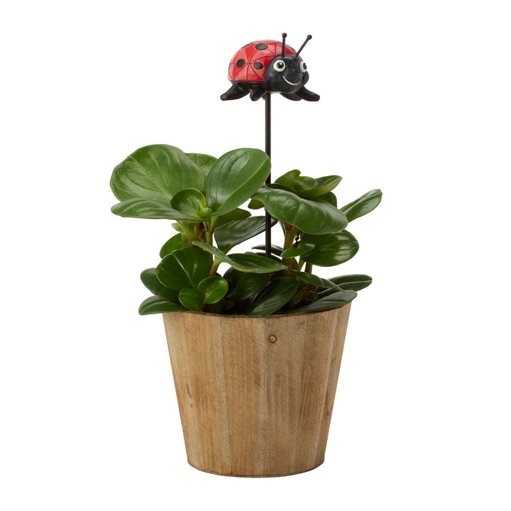 Plant Stake Ladybug Figurine